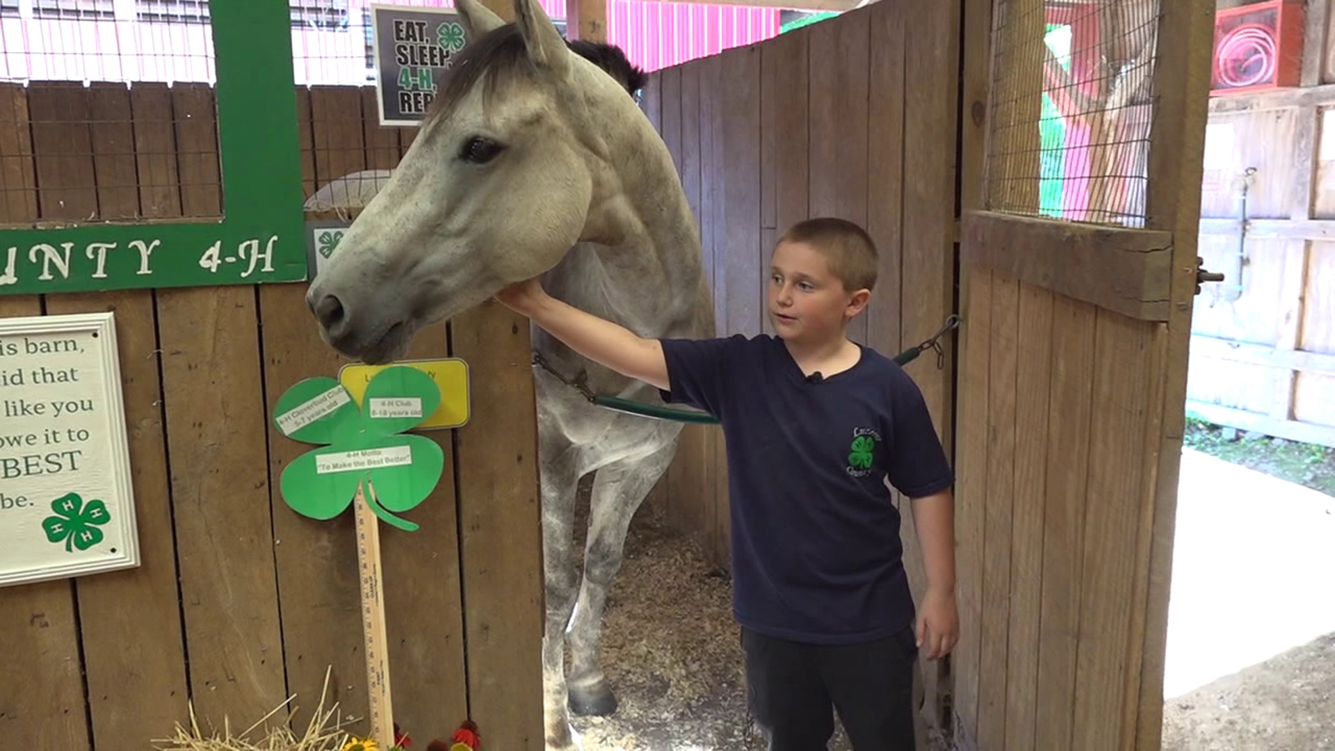 This week, Newswatch 16's Chelsea Strub checks out a skilled group of 4-H members and their animals at the Luzerne County Fair.