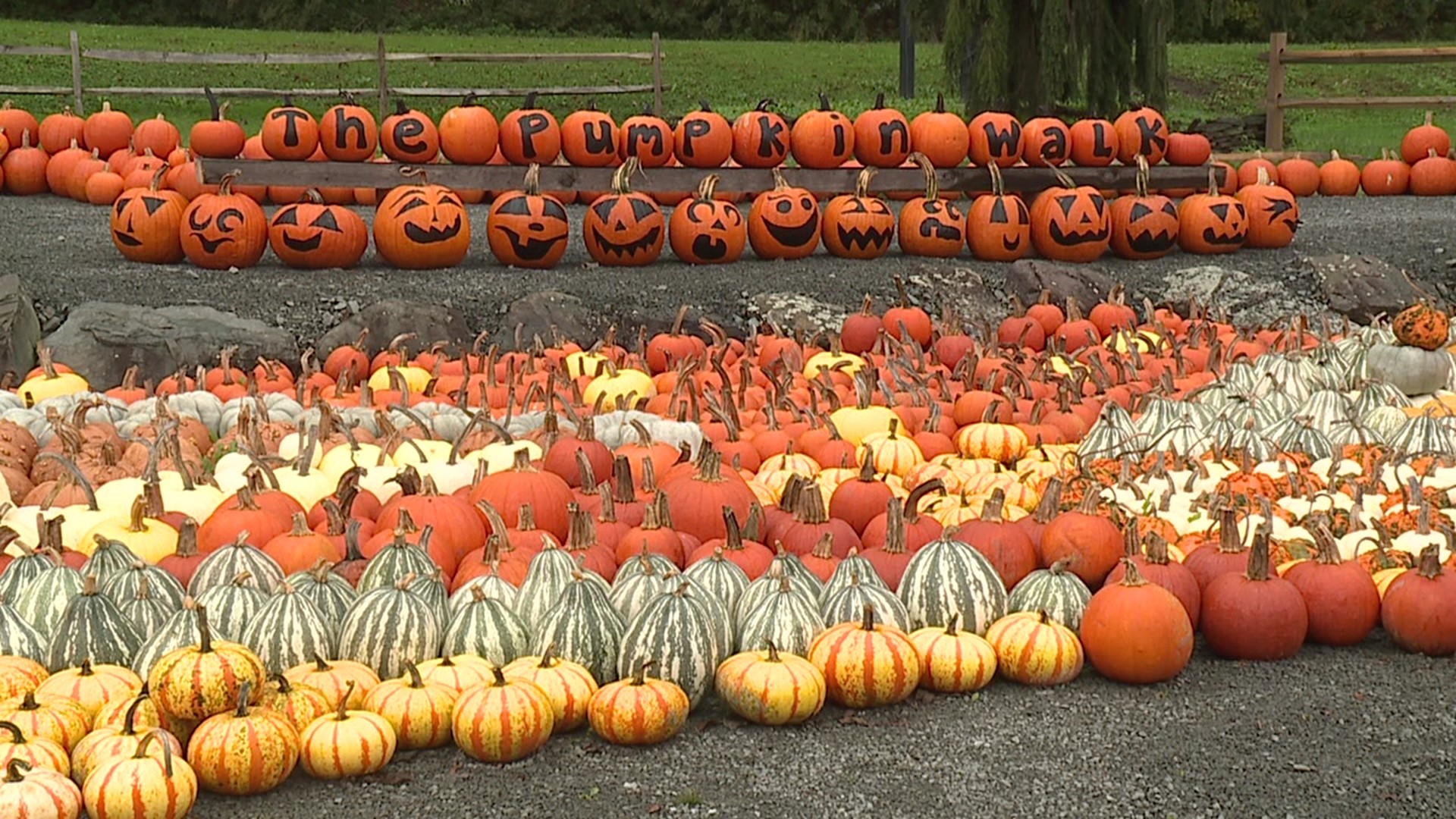 Jon Meyer took the Pennsylvania Road to Creekside Gardens in Wyoming County using thousands of pumpkins themselves to create artwork.