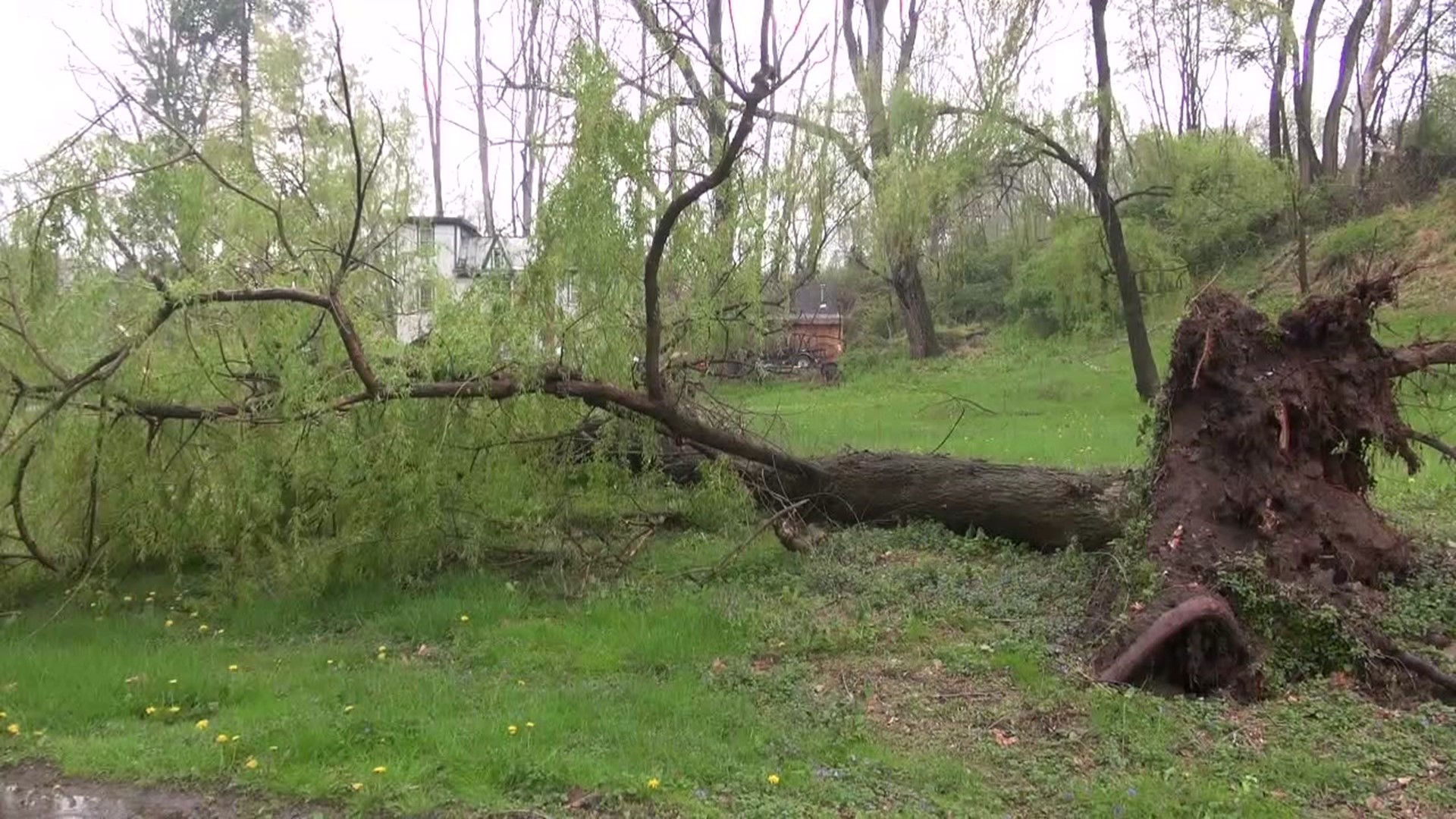 Folks are dealing with damage after storms blew through the area Wednesday night.