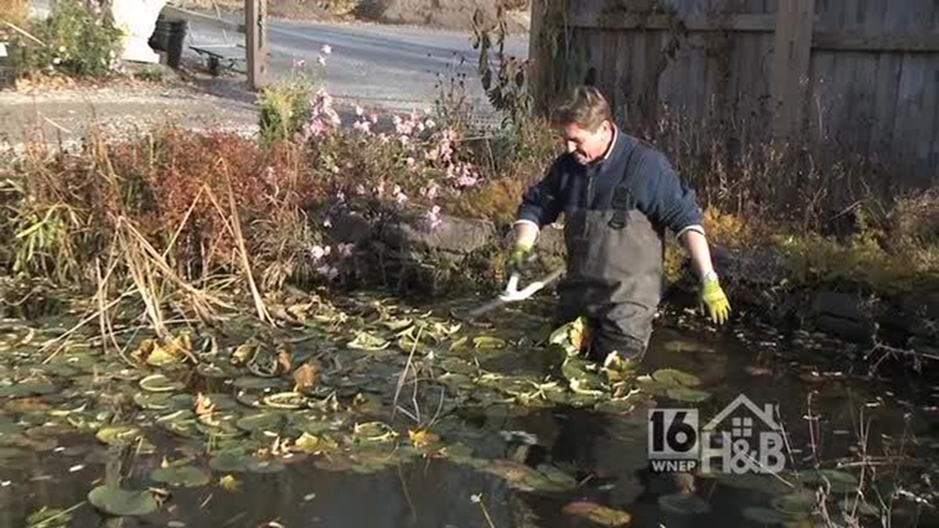 Fall Garden Clean-up