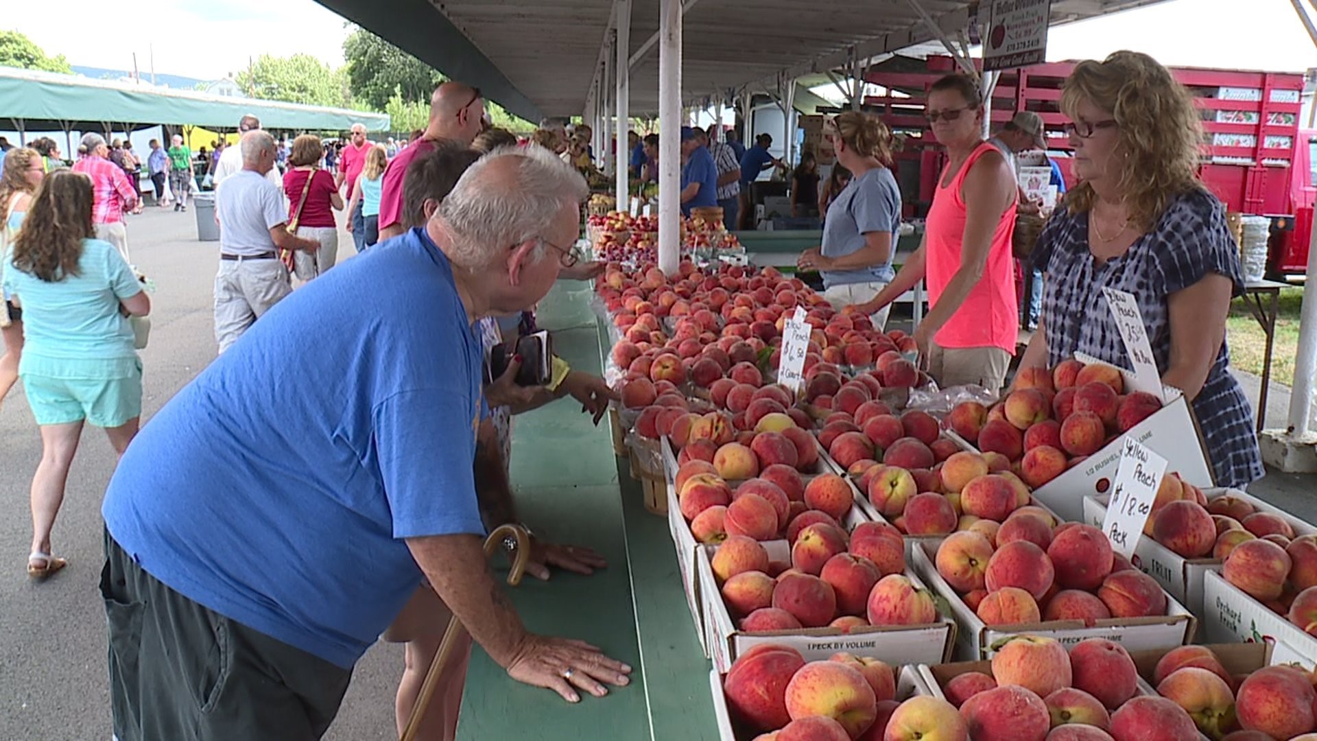 Farmers Market in Scranton Kicks Off