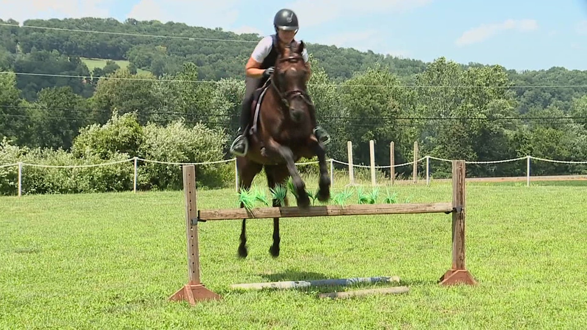 An equestrian who lives and trains near Elysburg has qualified for next year's games in Paris.