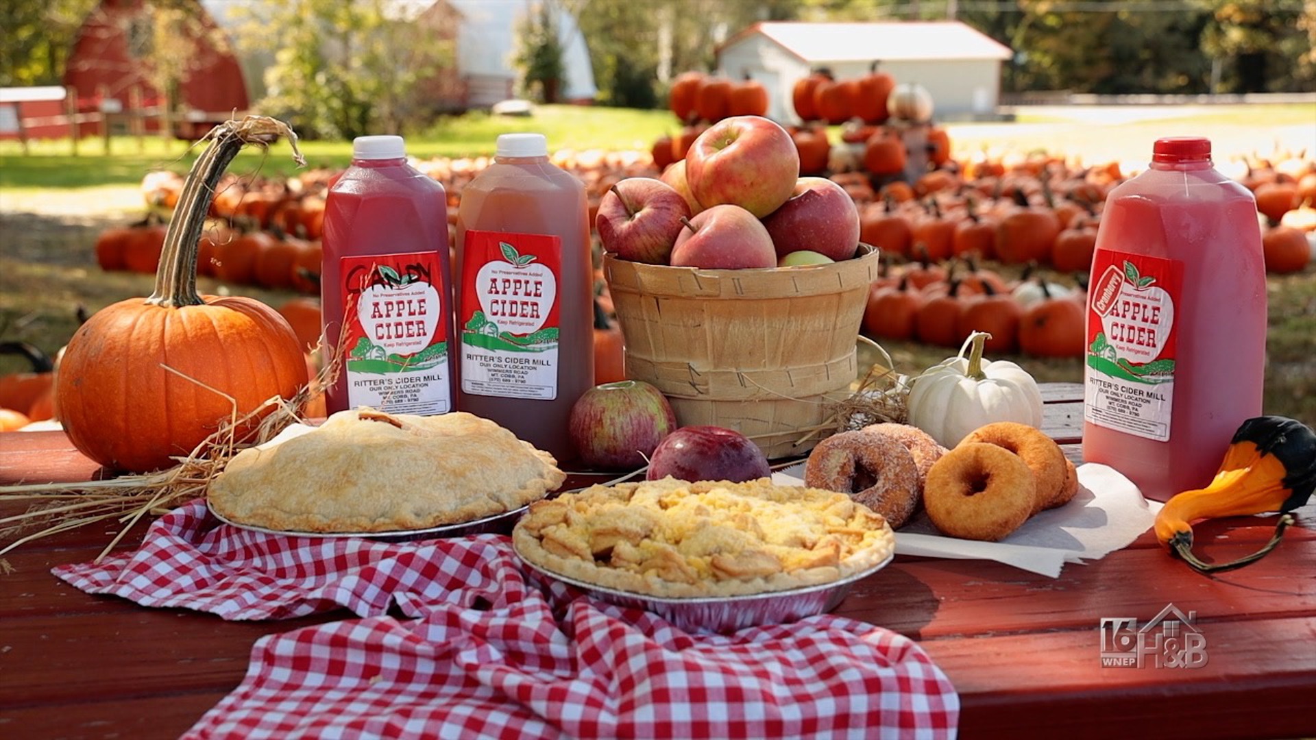 Homemade Apple Pies, A Ritter's Cider Mill Tradition For Decades