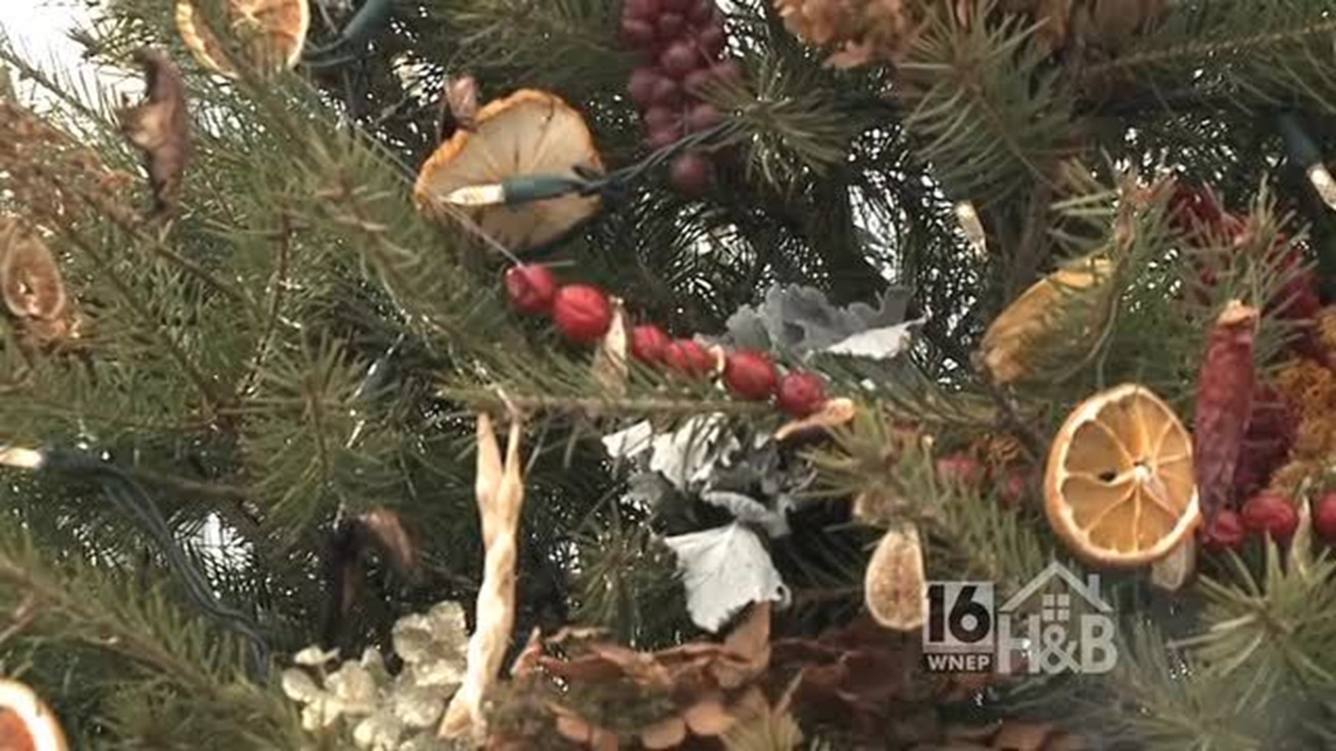 A Hershey Christmas: Hershey Gardens