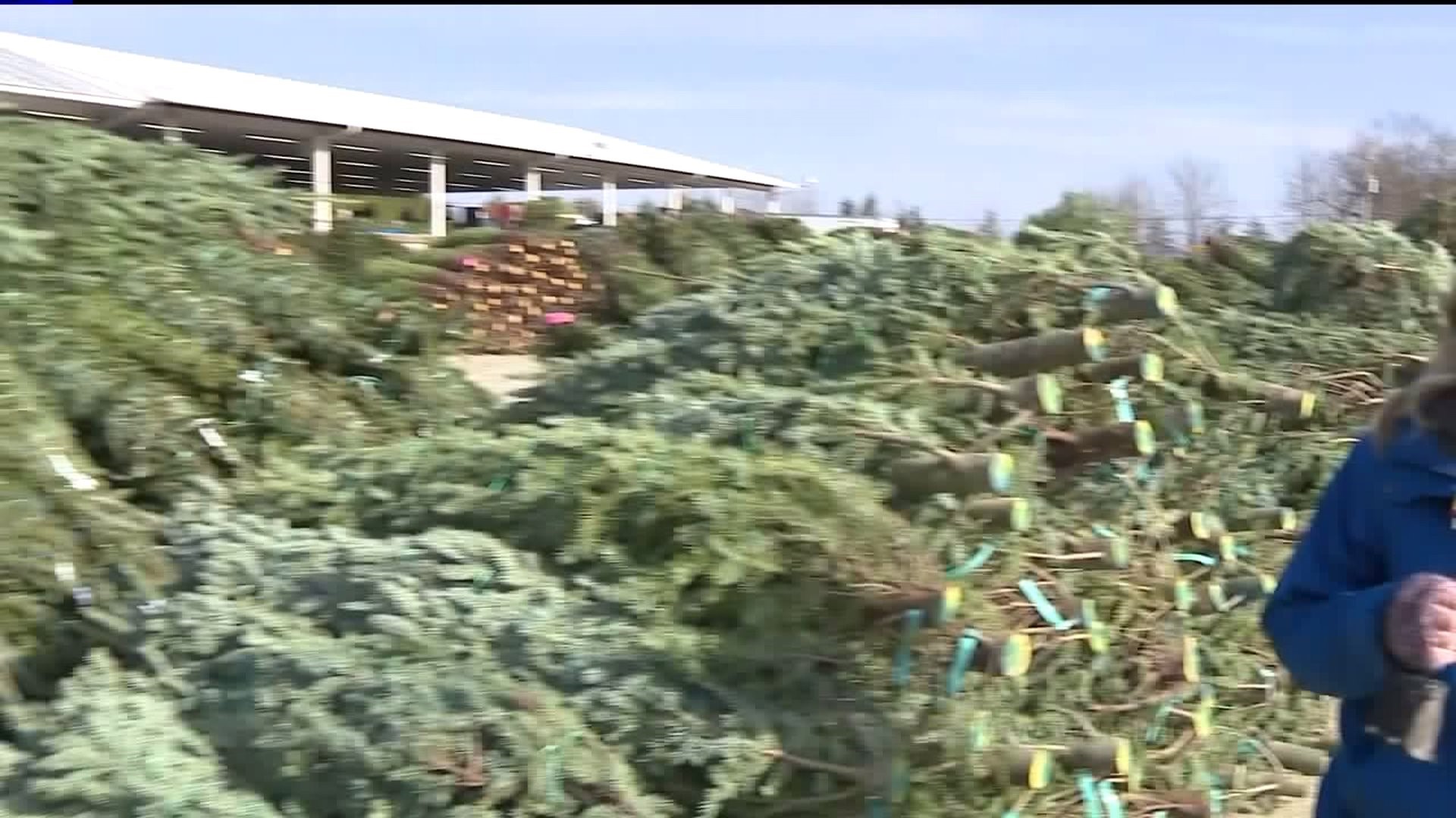 Christmas Greenery on the Auction Block in Union County
