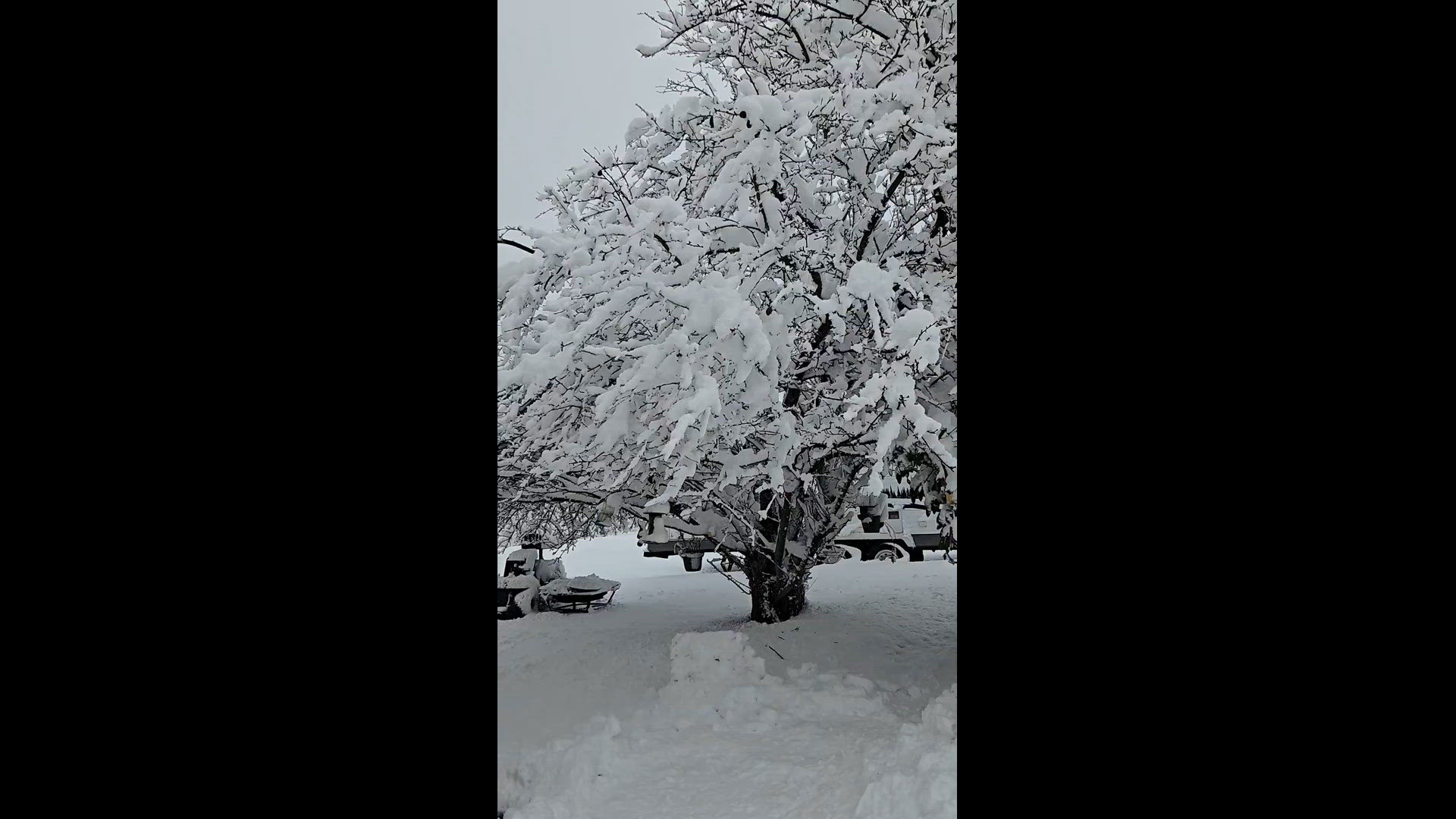 First snowfall of Winter 2024
Credit: Maria