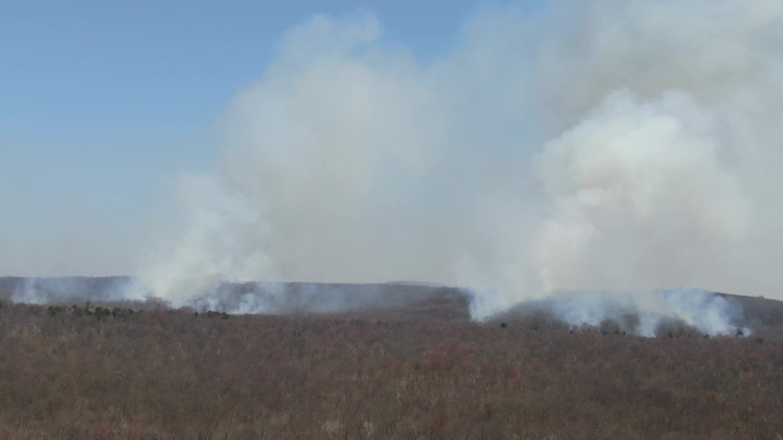 Brush fire near Crystal Lake in Bear Creek Township
