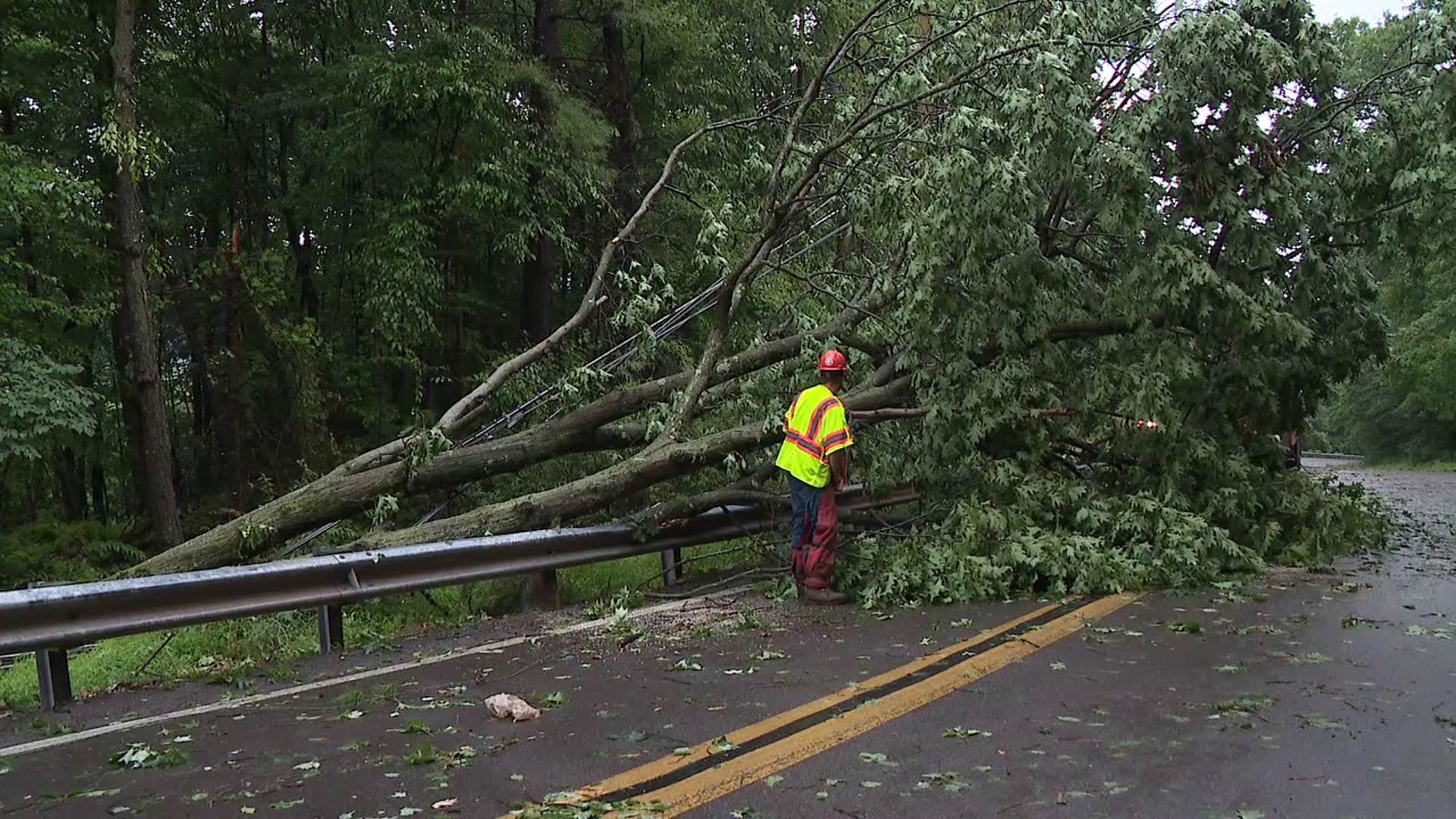 Storms rolled through northeastern and central Pennsylvania Wednesday evening, bringing down trees and leaving hundreds in the dark.