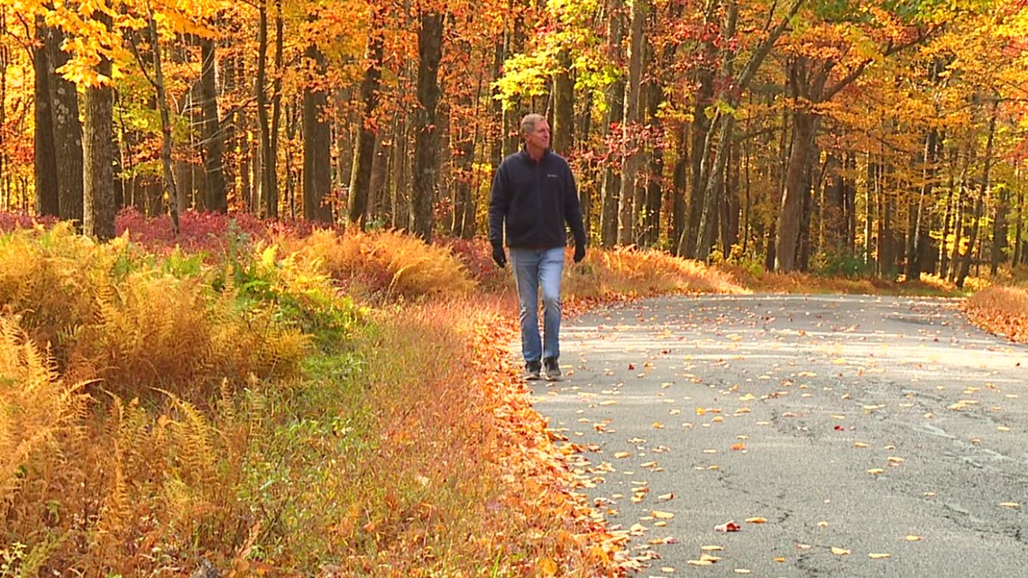 Mountain Top stroll enjoying foliage On The Pennsylvania Road - Vimarsana News