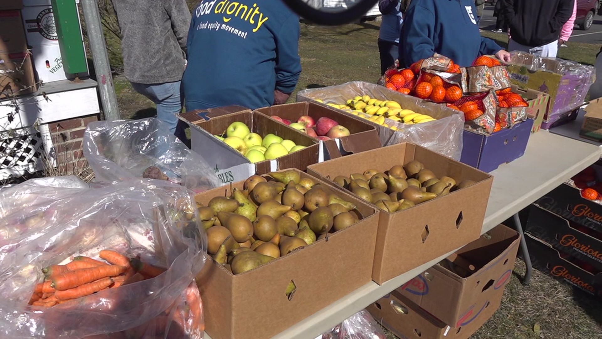 Food Dignity organized the distribution at the Lands at Hillside Farms.