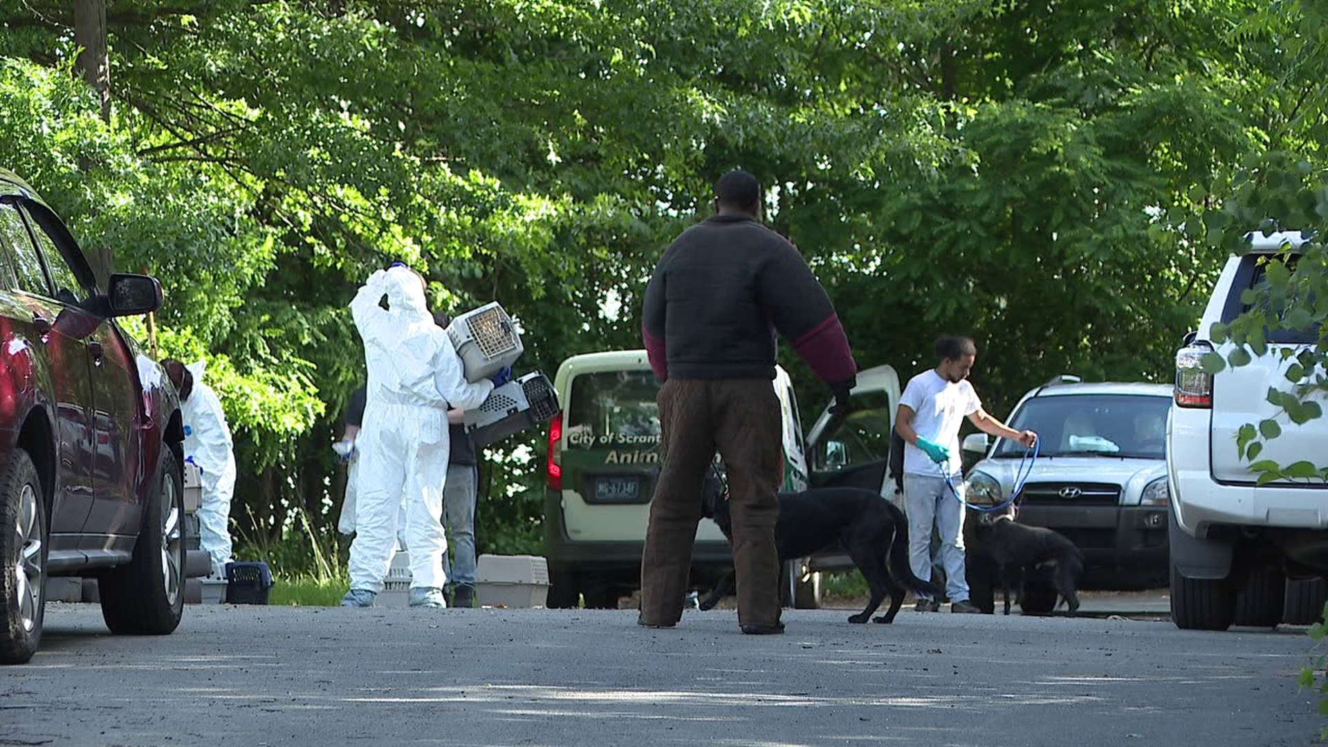 One person was arrested after dozens of animals were found inside a home in Scranton.
