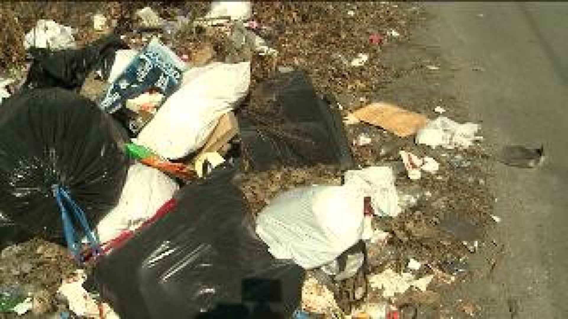 St. Patrick’s Party Lingers in Litter