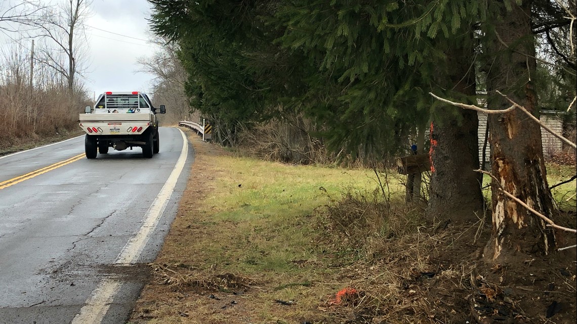 Wayne County Man Dies in Crash