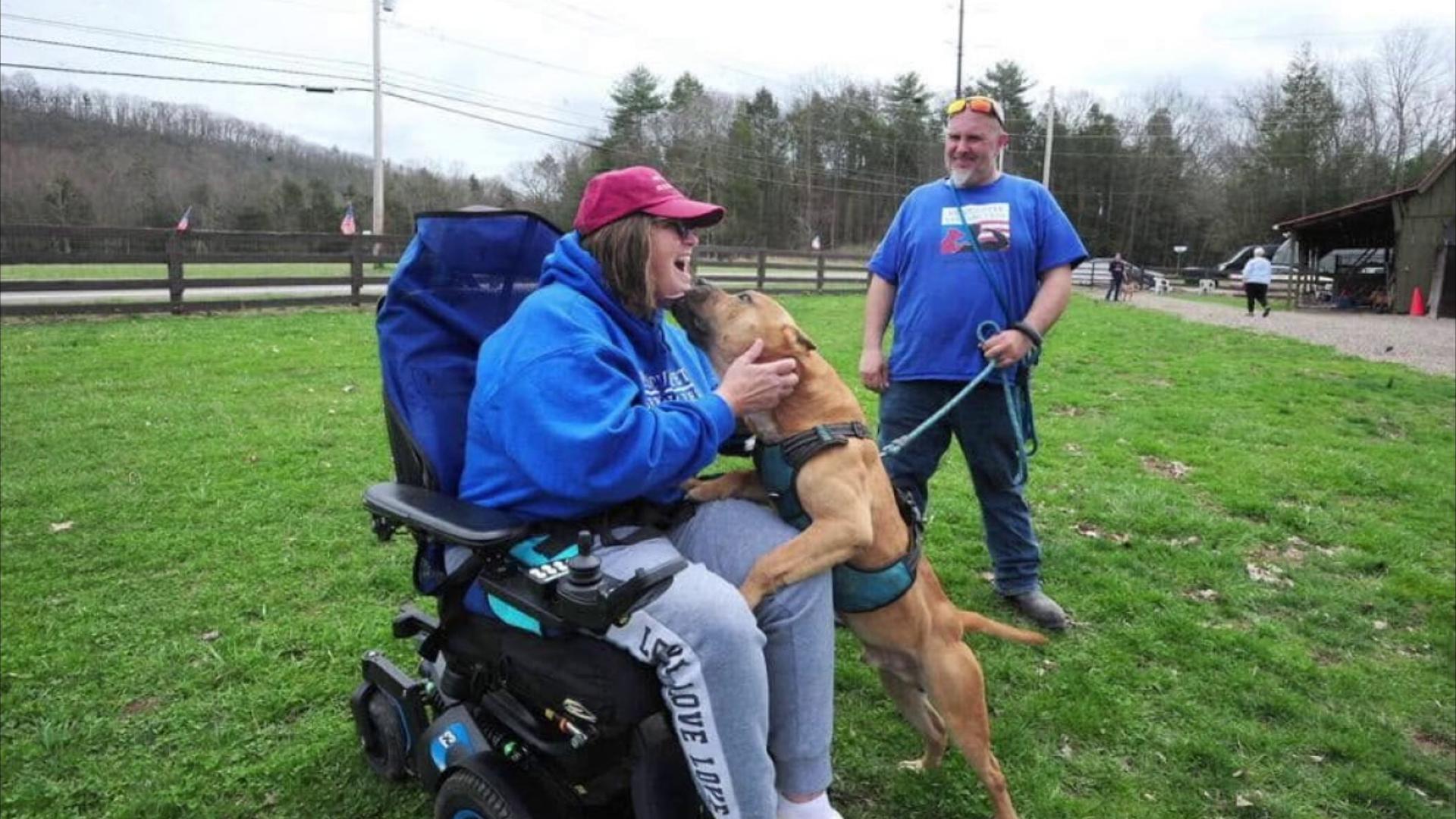 Rescue Pets Serving Vets hopes to see remaining dogs adopted as owner ...