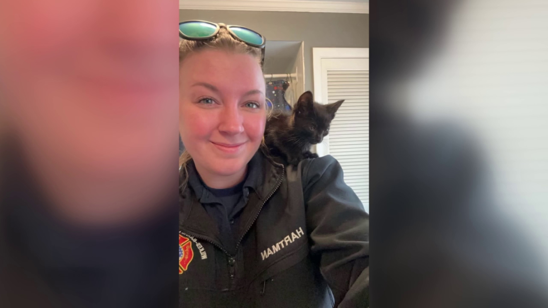 A kitten stuck in a car engine compartment was rescued and then adopted by a firefighter.
