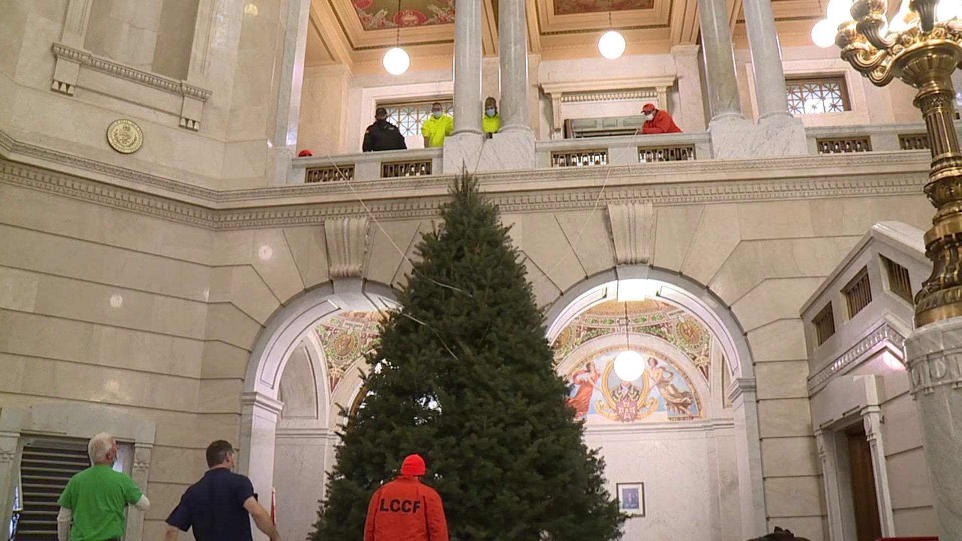 The tree was installed at the Luzerne County Courthouse on Tuesday.