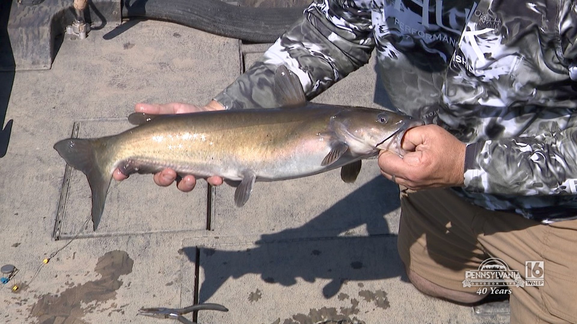 An experienced guide on the Susquehanna River who will put you on fish.