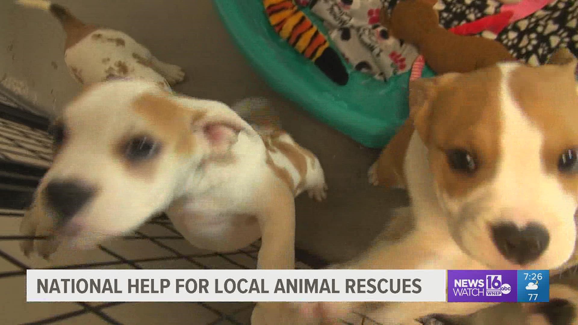 An animal rescue in Susquehanna County Is getting some unexpected fundraising help from a rescue group touring the country.
