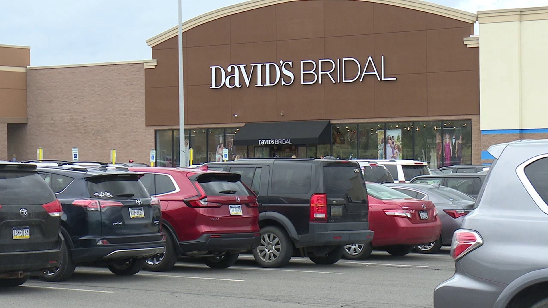 David's bridal near me 2024 now