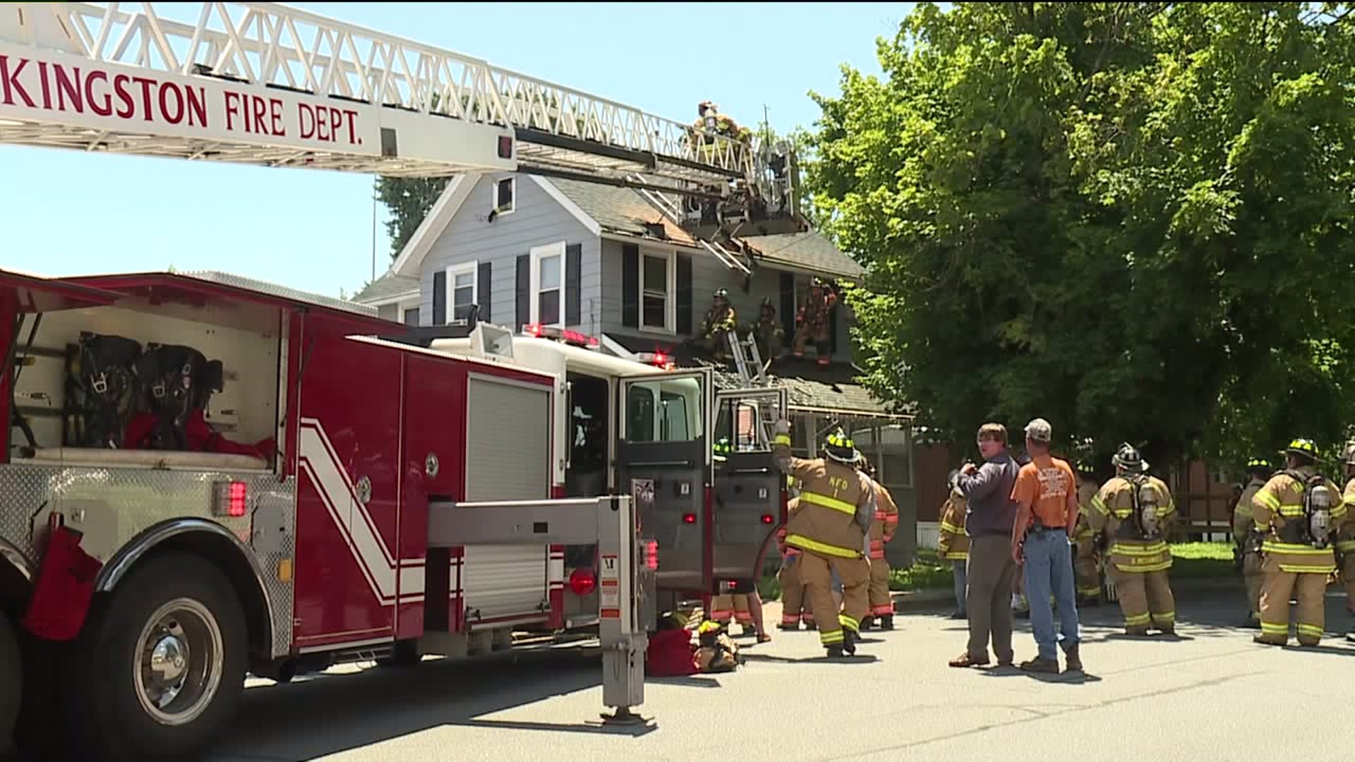 Dog Rescued From Fire in Luzerne Borough