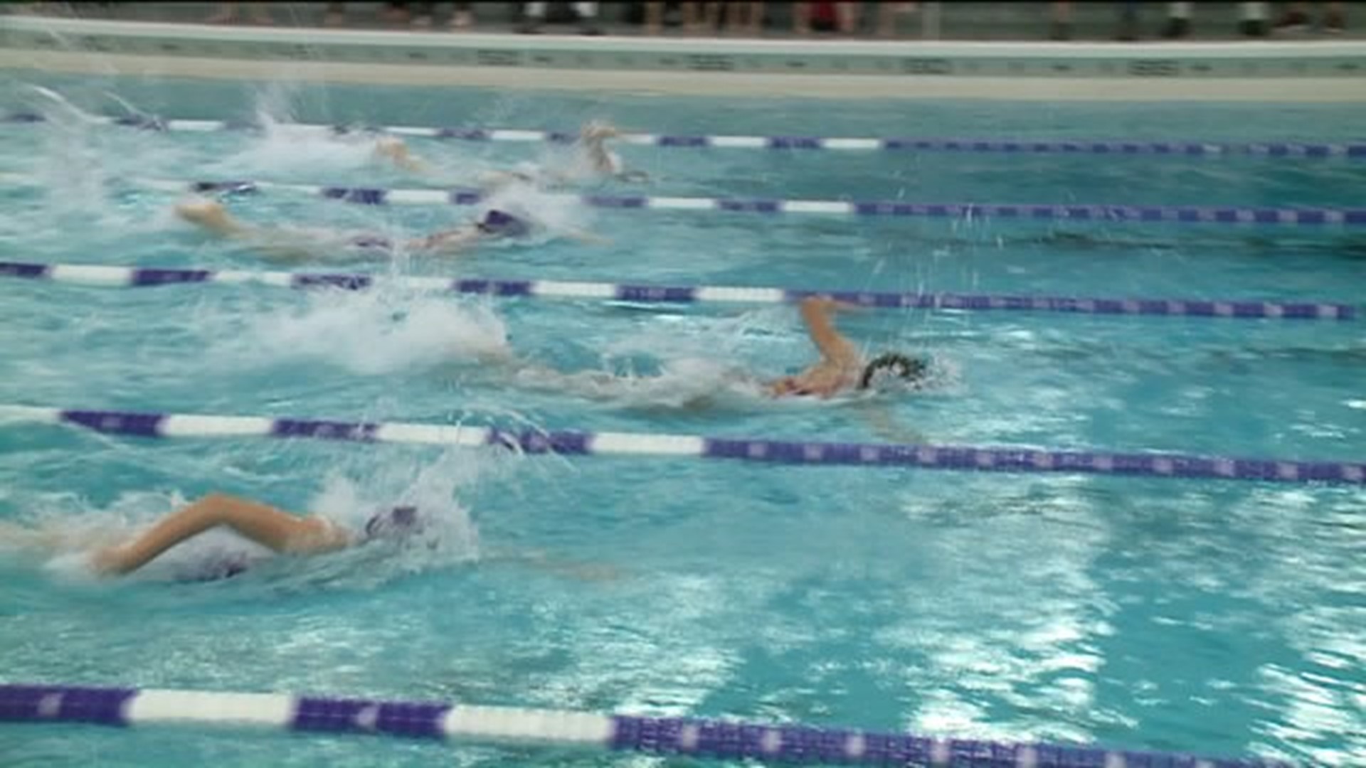 Pottsville vs Shamokin swimming