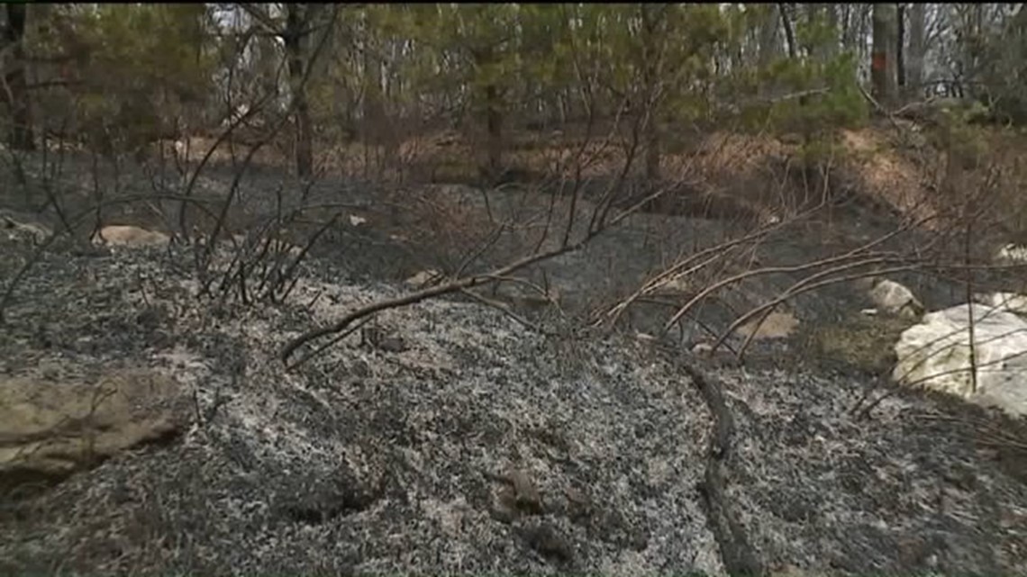 Schuylkill County Officials Obey Burn Ban