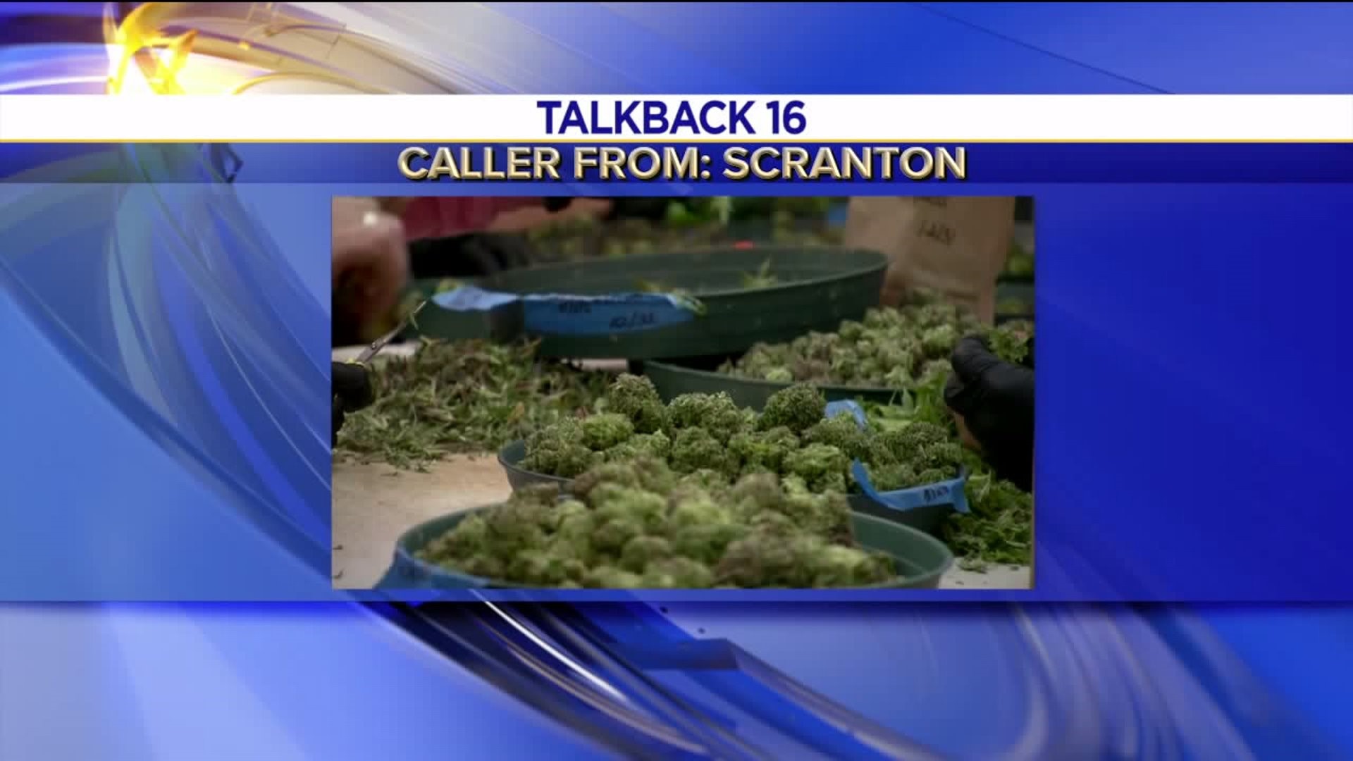 Talkback 16: Mice in Scranton Schools, Recreational Marijuana, Mummy