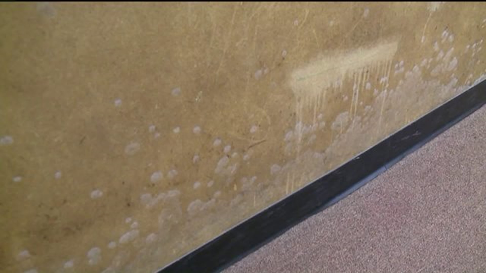 Wyoming Valley West Middle School Back Open after Mold Clean Up