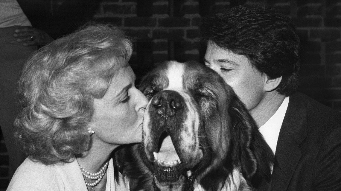 Challenge underway to help animals in honor of late Betty White - Vimarsana News