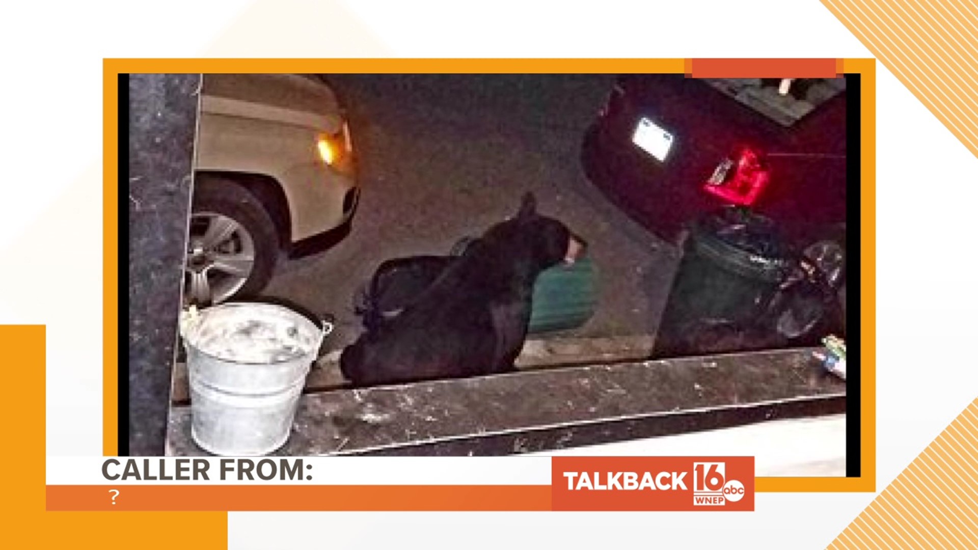 Callers comment about the black bear that is wandering around Carbon and Schuylkill Counties.