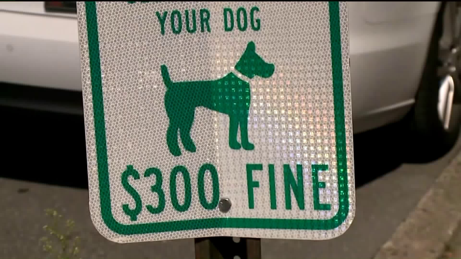 Scoop the Poop or Pay the Fine