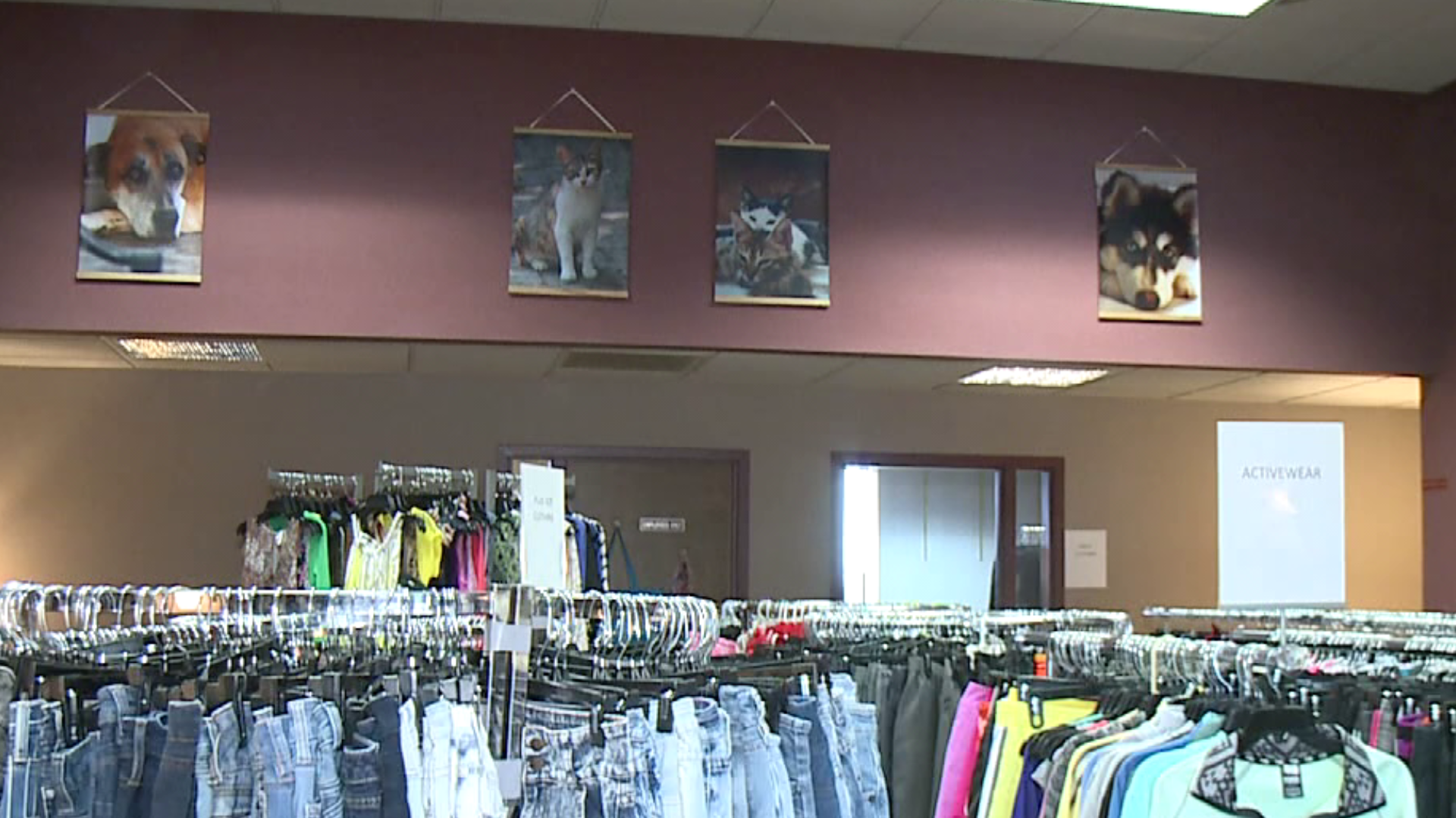 A nonprofit in Luzerne County is trying to power through tough fundraising times during the pandemic by opening a thrift store.