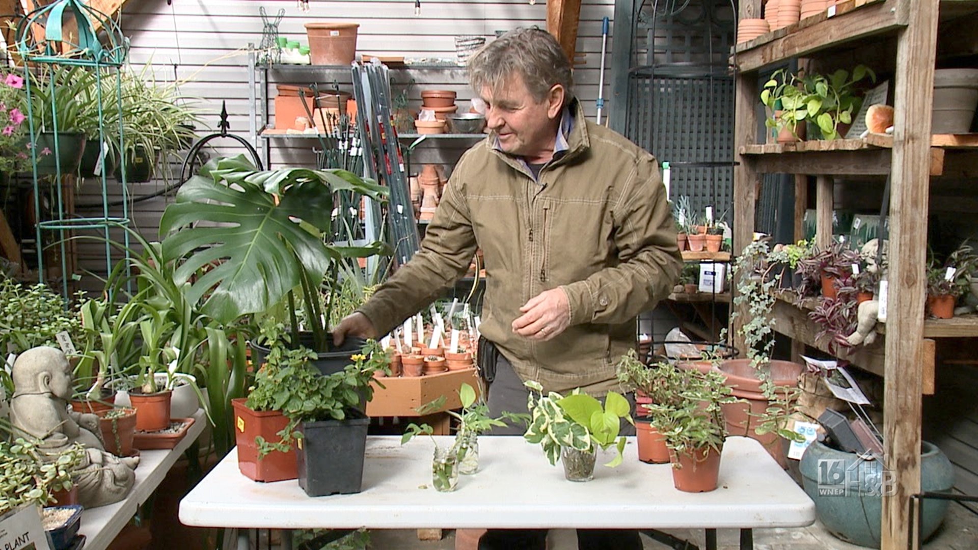 Good News! You Can Still Use Your Green Thumb Through Fall And Winter!