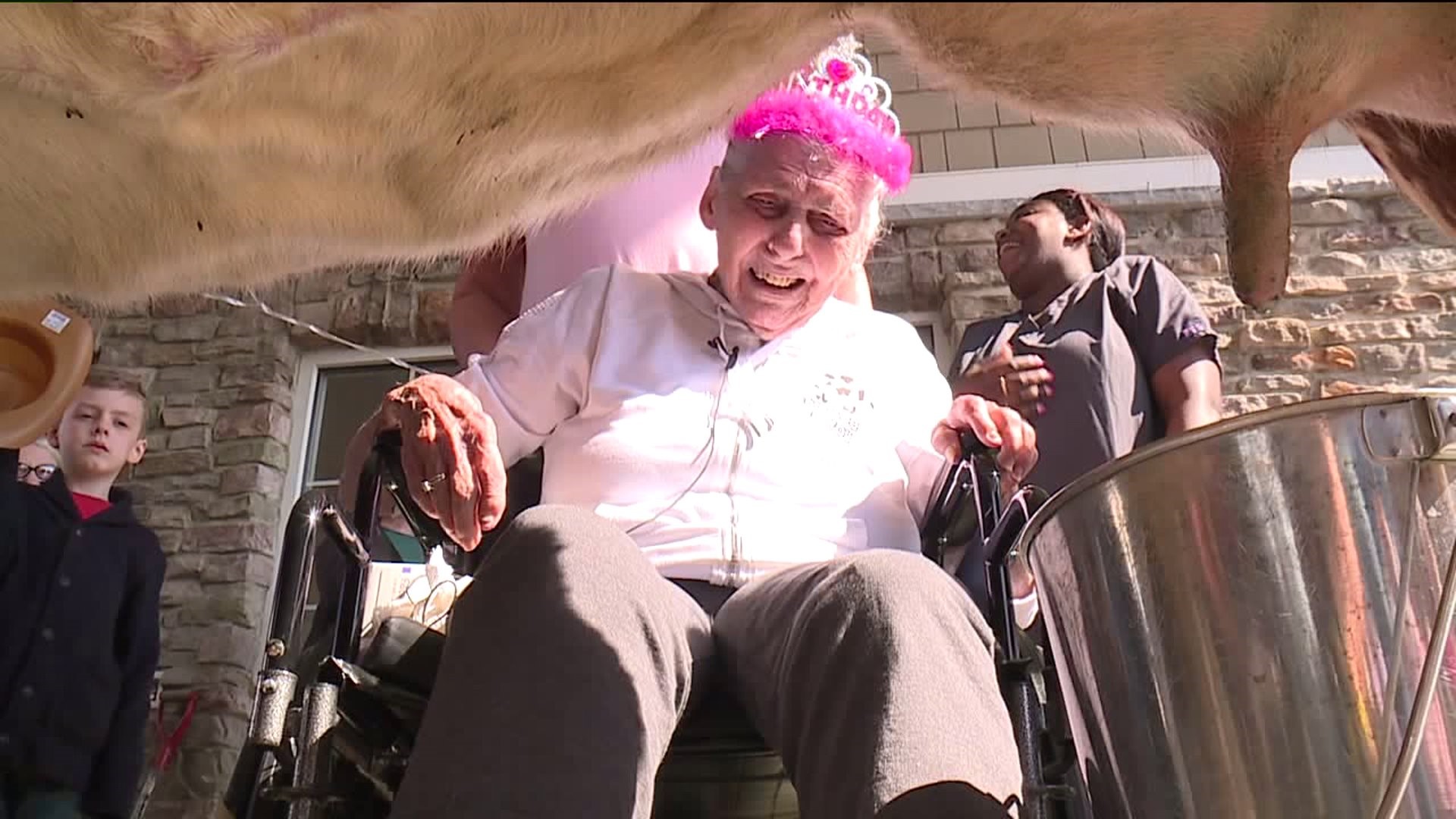 Ann Milks Her 100th Birthday