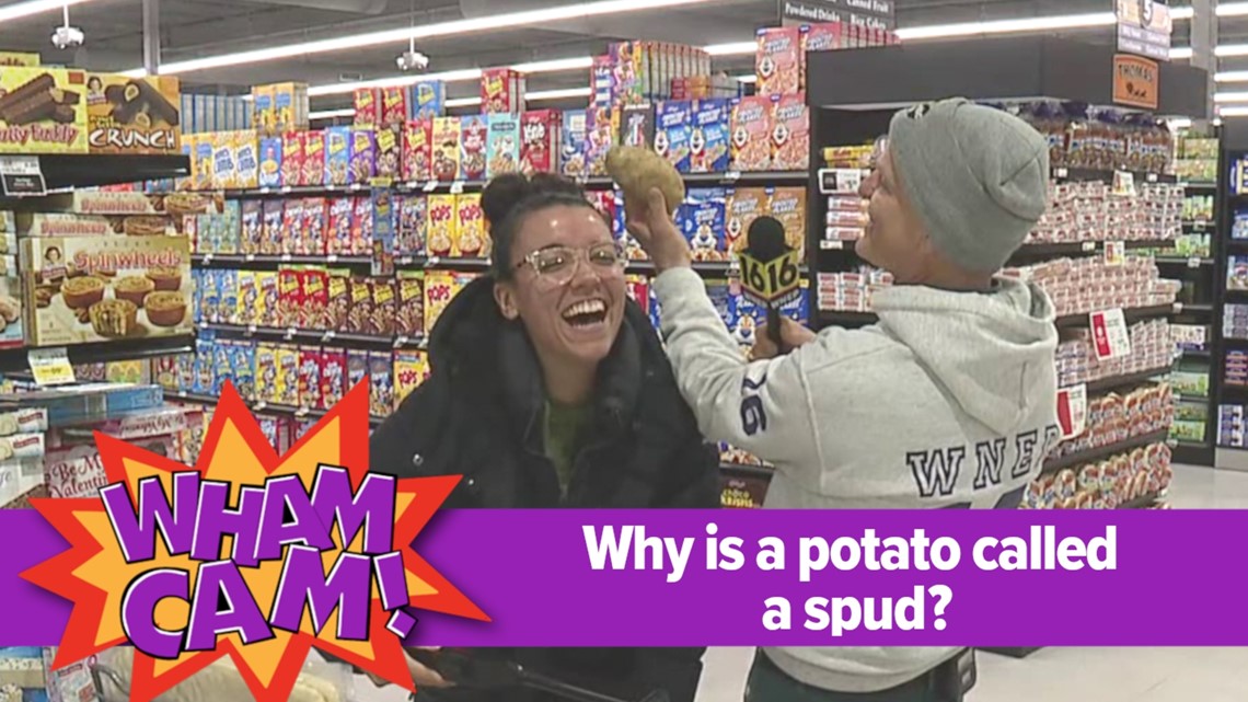 Wham Cam: Why is a potato called a spud?