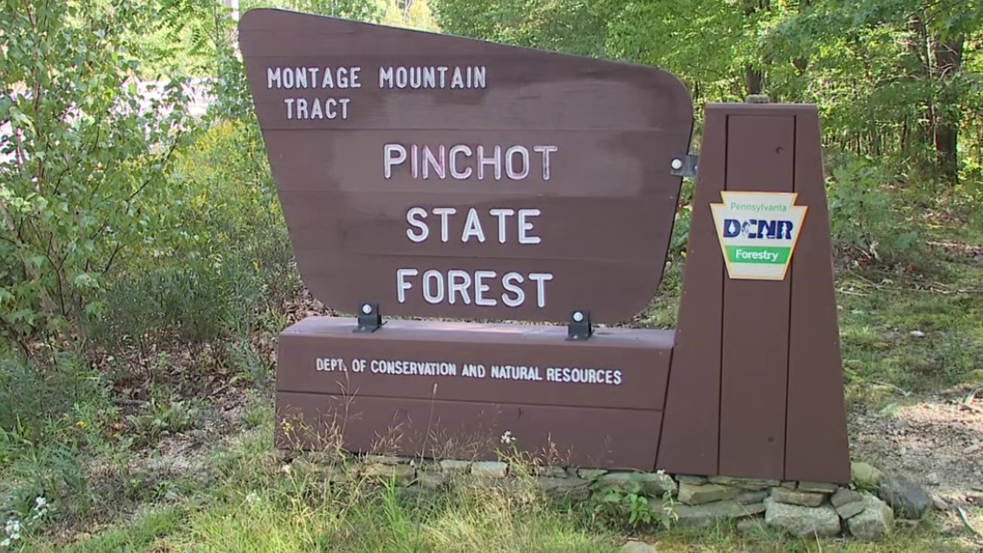 Newswatch 16's Courtney Harrison spoke with forestry officials about the importance of keeping the environment intact.