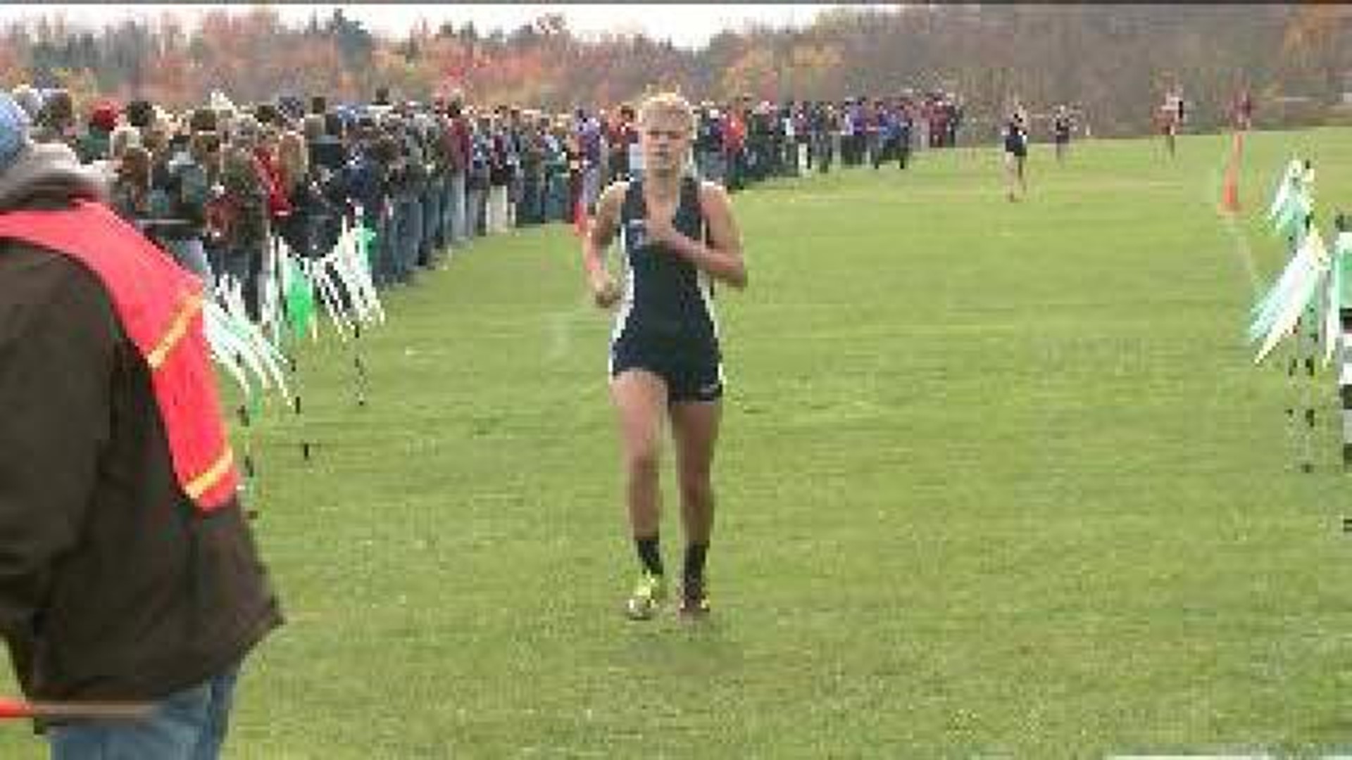 State Cross Country Preview