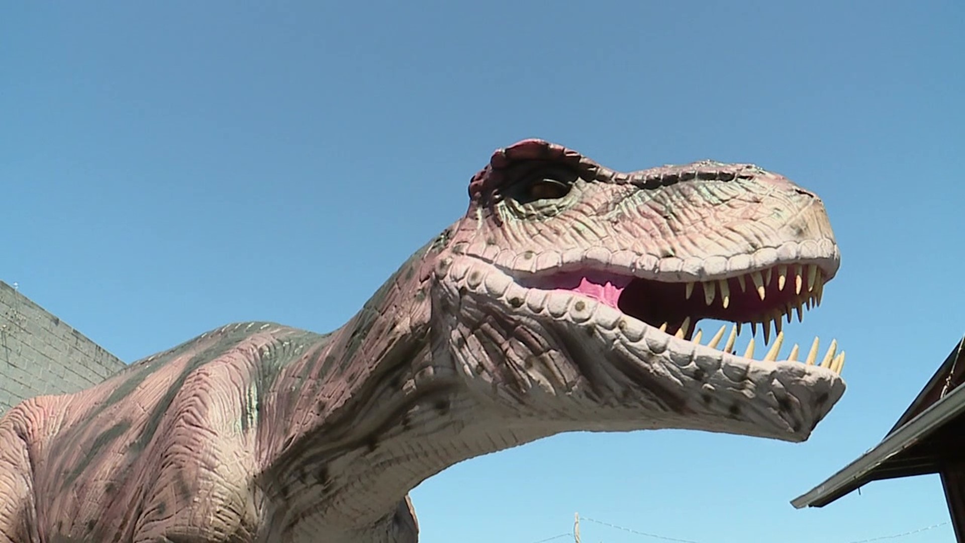 Organizers prepare to welcome guests to the Jurassic Wonder Show at the Lycoming County Fairgrounds.