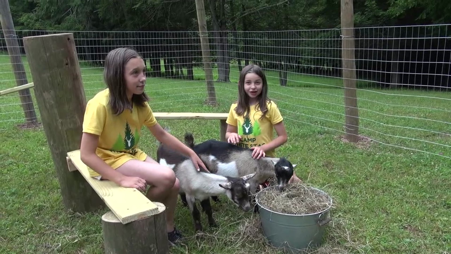 Newswatch 16's Courtney Harrison shows us where one camp in Wayne County is giving kids a hands-on experience in farming and nature.