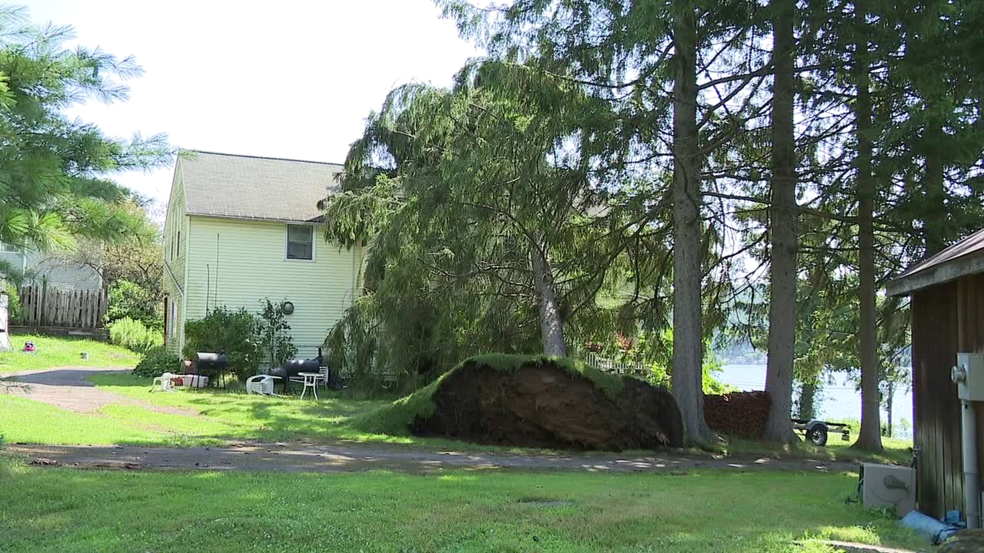 Storms Monday night took down several trees and caused widespread damage.