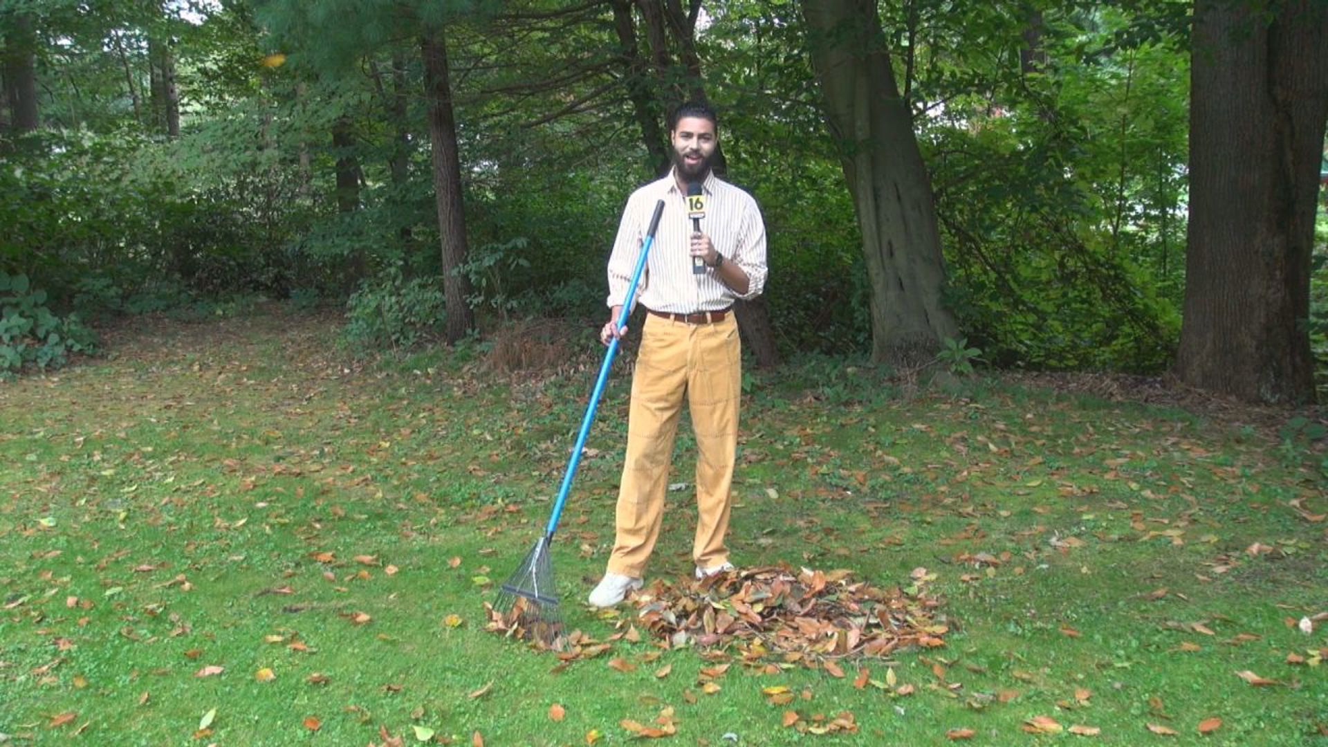 The leaves may be changing colors, but experts say it's not because of the upcoming fall season.