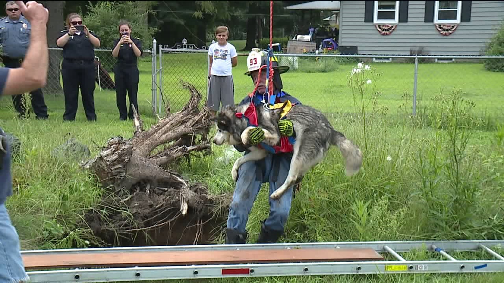 Firefighters Rescue Dog from Old Forge Sinkhole