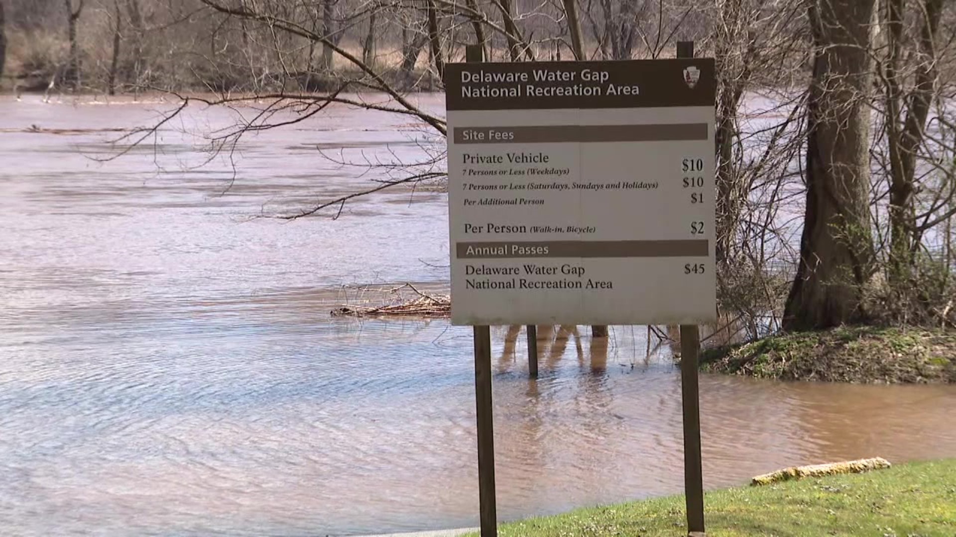 Steady and heavy rains washed out roads, taking down trees in the Delaware Water Gap National Recreation Area.