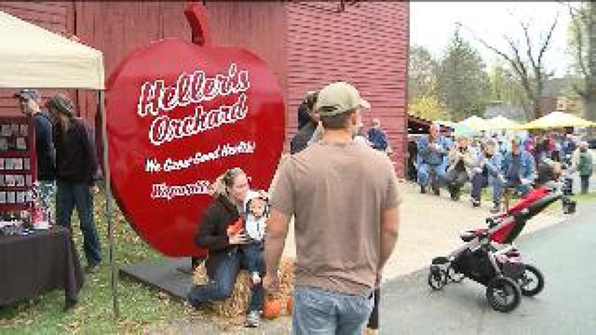 Families Celebrated Annual Apple Festival in Luzerne County