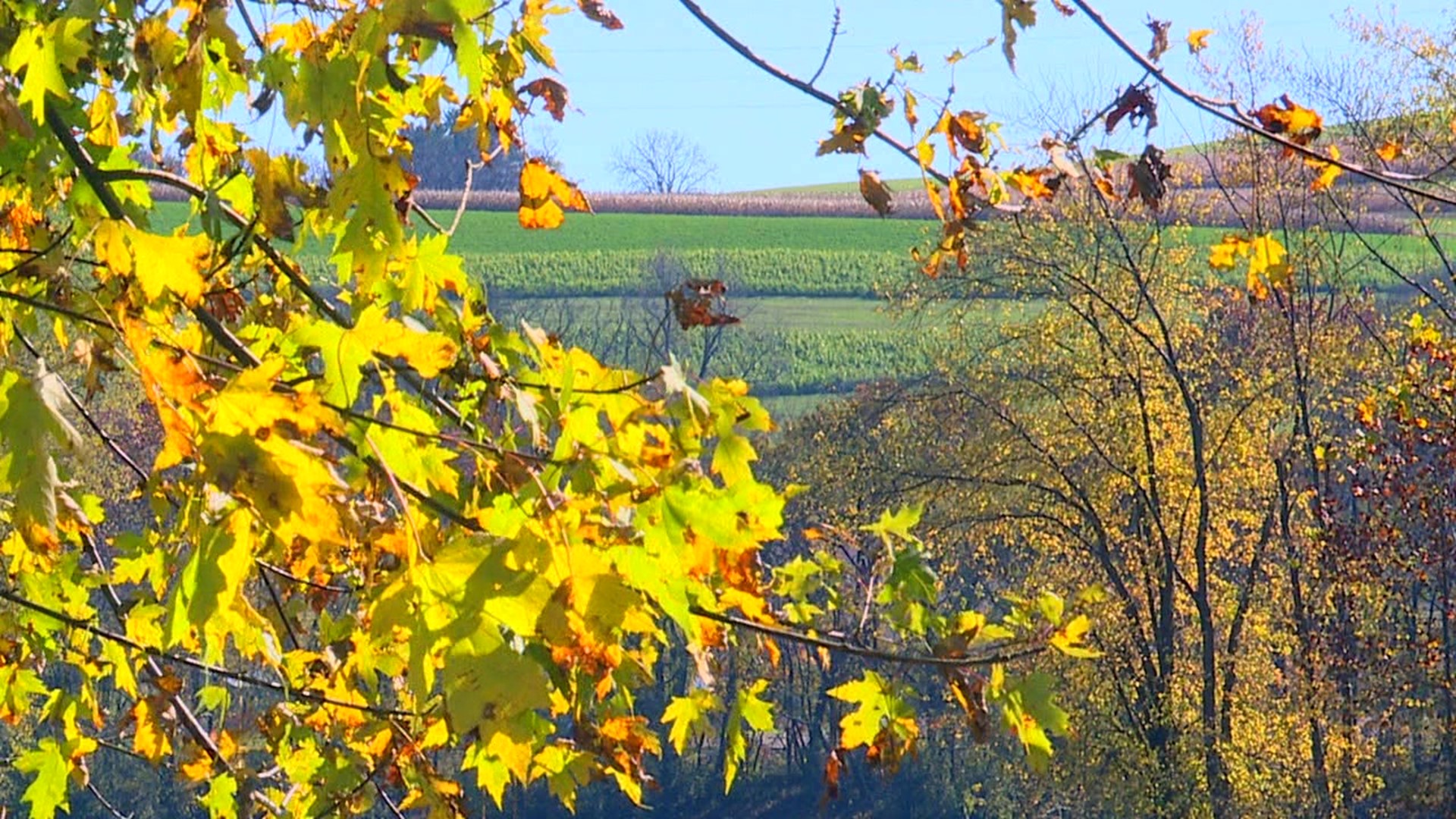 Folks travel from all over the country to see the fall foliage right