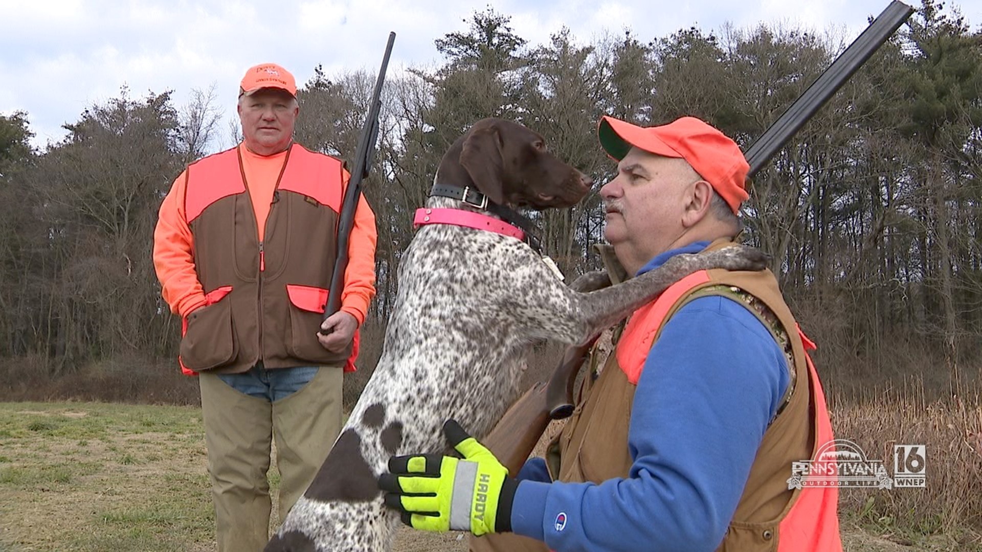 Hunting upland birds with the help of some amazing dogs.