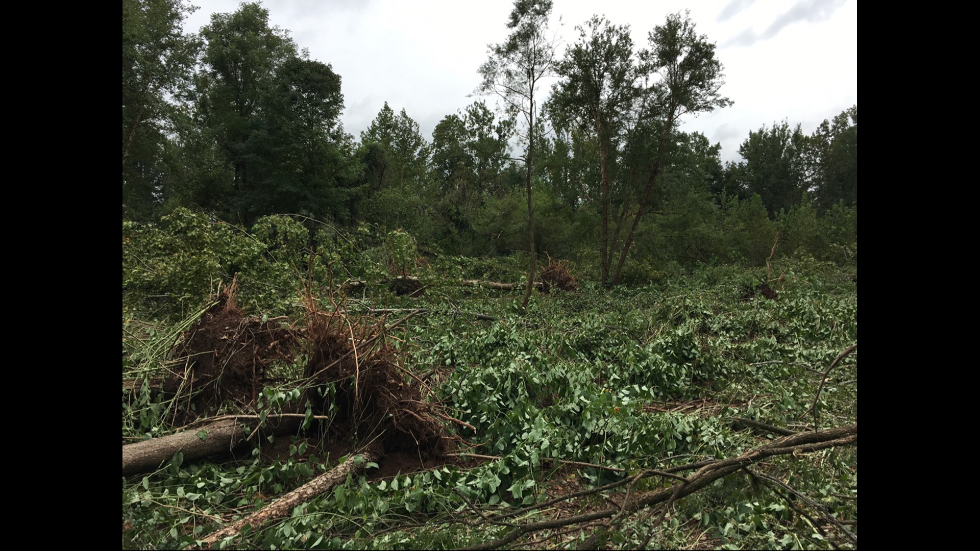 Severe Storms Leave Behind Damage in Central Pennsylvania | wnep.com