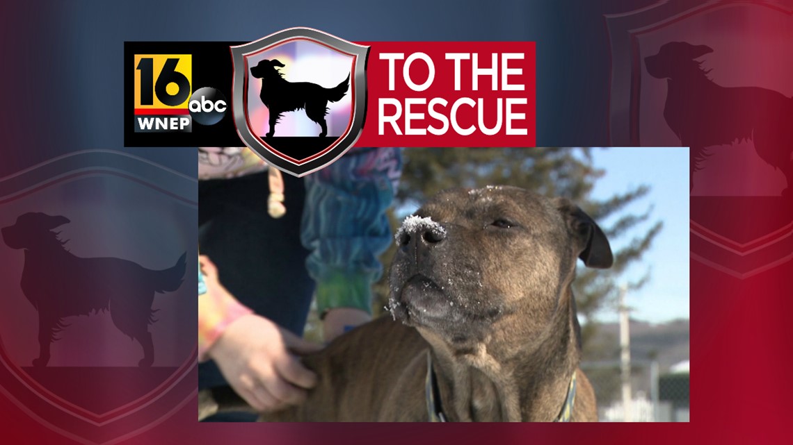 16 to the Rescue: Styx | wnep.com