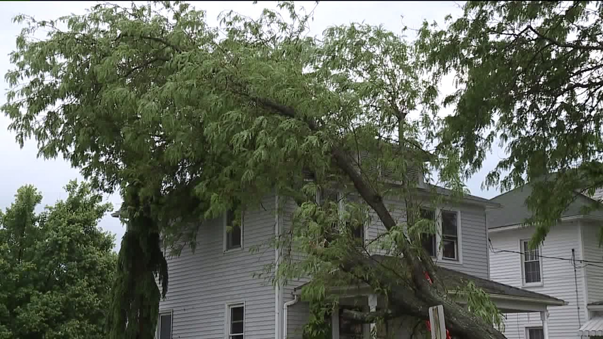 Tree Falls on Home in Bloomsburg