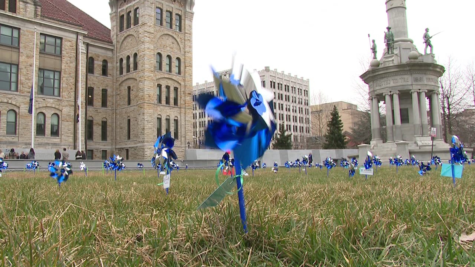 The Children's Advocacy Center of NEPA planted more than 500 pinwheels on the lawn of the Lackawanna County Courthouse.
